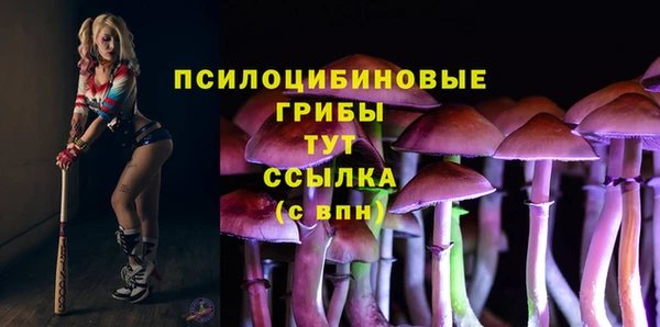 сатива Кодинск