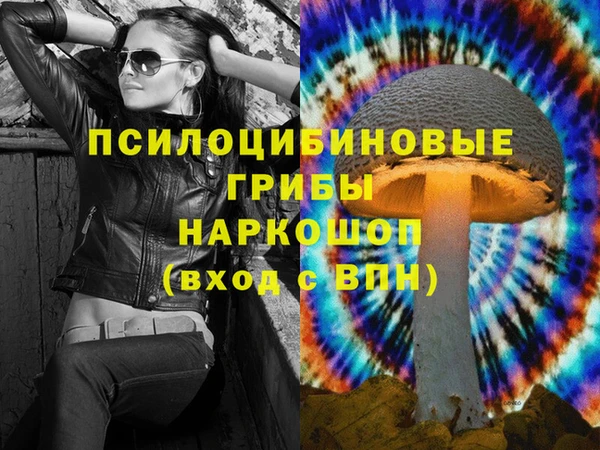 сатива Кодинск