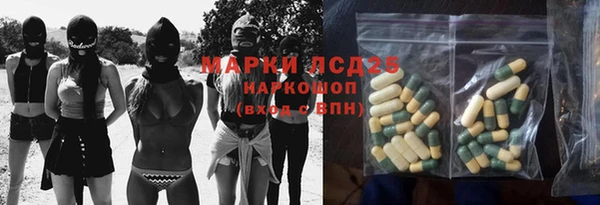 сатива Кодинск