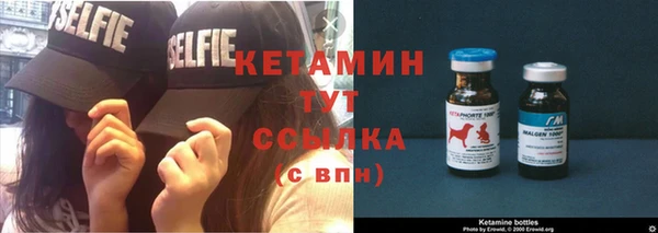 сатива Кодинск