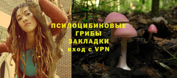 сатива Кодинск